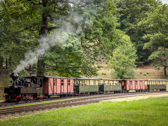 Waldeisenbahn in Bad Muskau