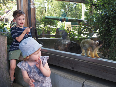 Kinder im Tierpark