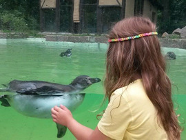 Kind mit Humboldt-Pinguin